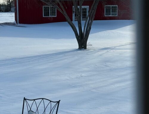 A Spring Show and Debbie’s Health Update